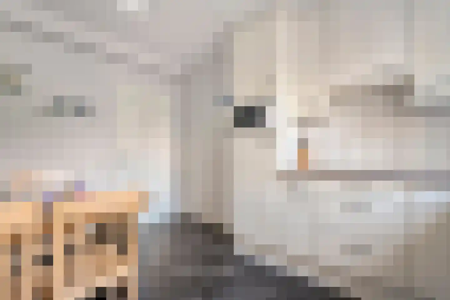 Kroezenmaat 3 Ruinen thumbnail 21