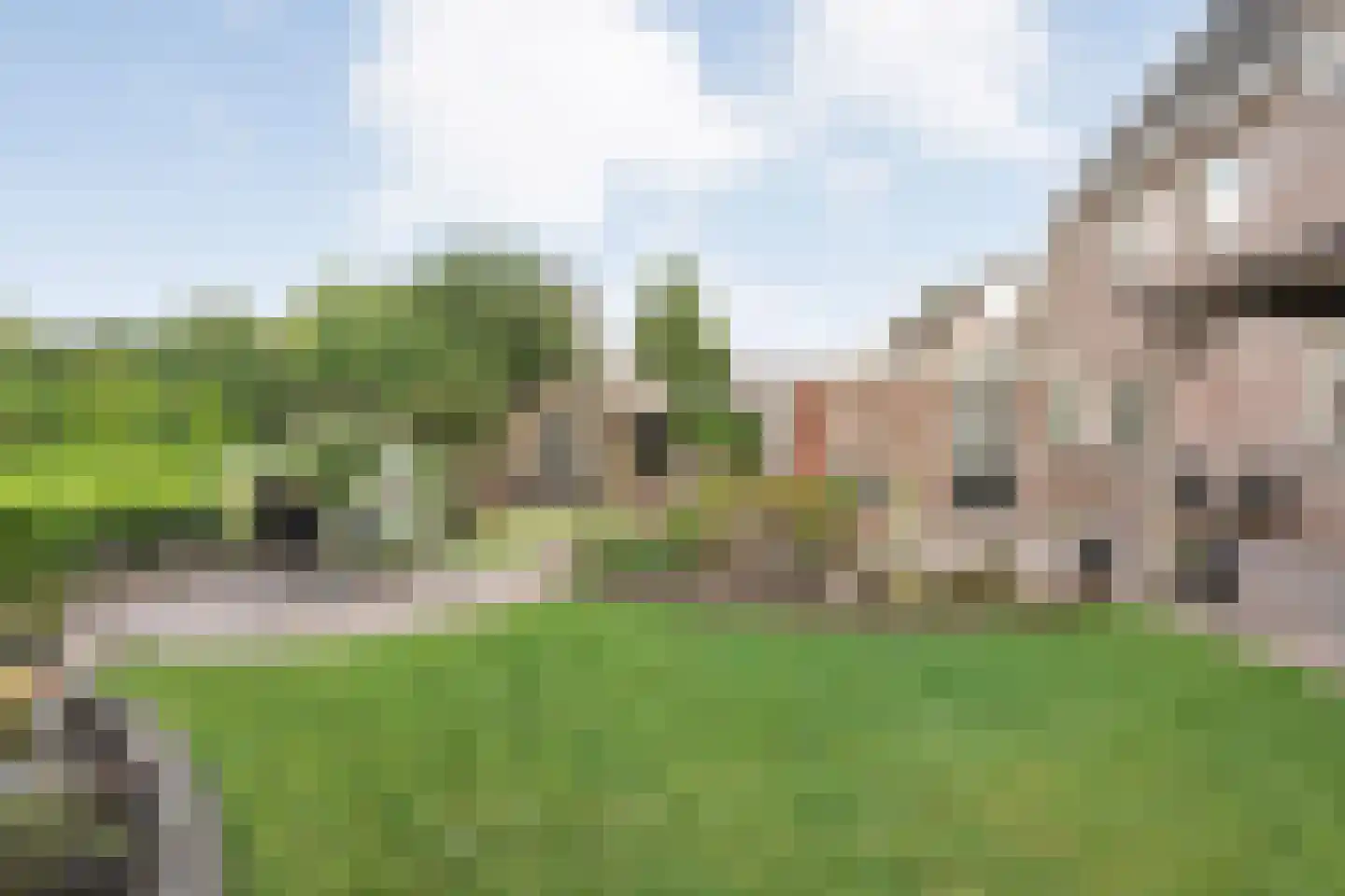 Kroezenmaat 3 Ruinen foto 3