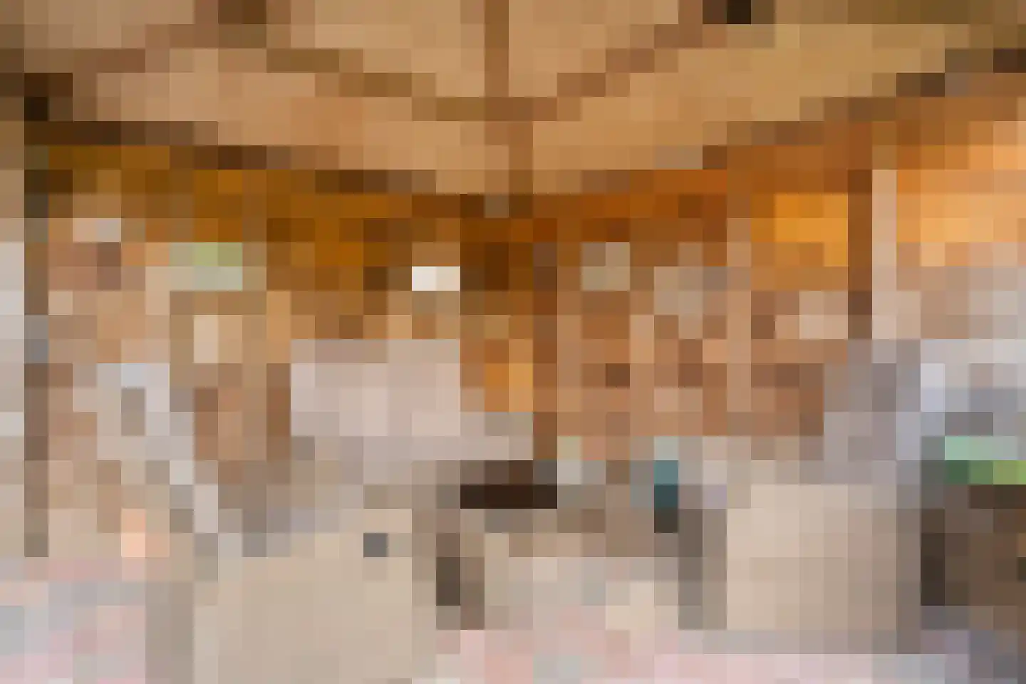 Kroezenmaat 3 Ruinen thumbnail 38