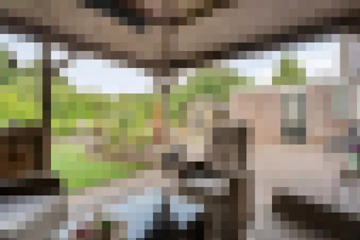 Kroezenmaat 3 Ruinen thumbnail 39