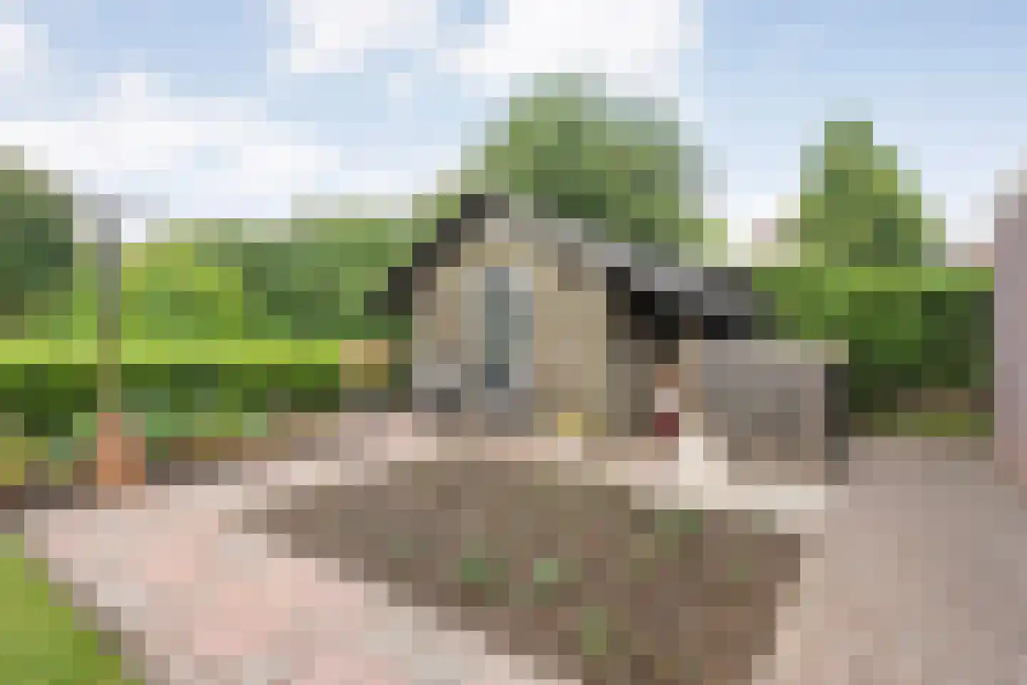 Kroezenmaat 3 Ruinen thumbnail 42