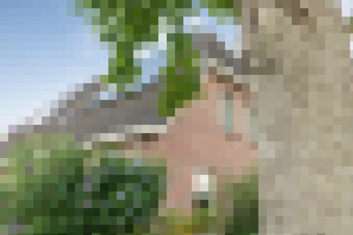Kroezenmaat 3 Ruinen thumbnail 8