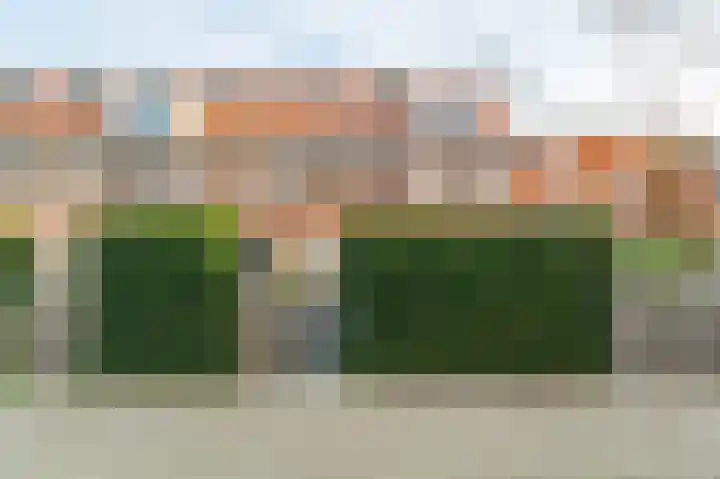 Krokus 12 dans Voorhout