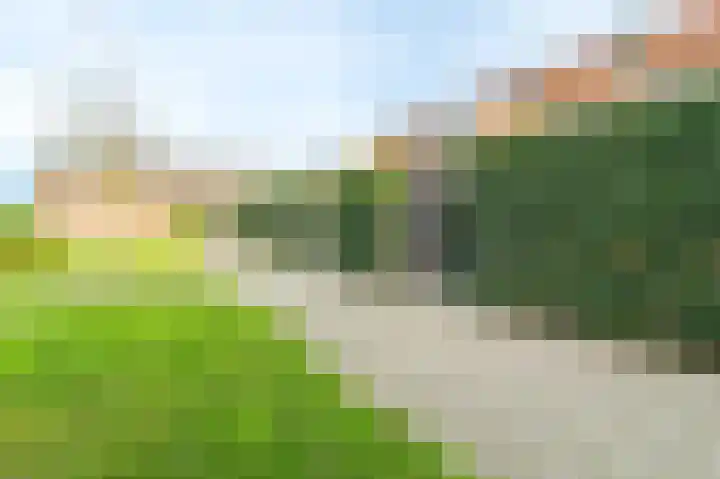 Krokus 12 Voorhout thumbnail 30