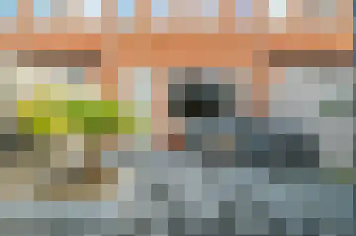 Krokus 12 Voorhout thumbnail 32