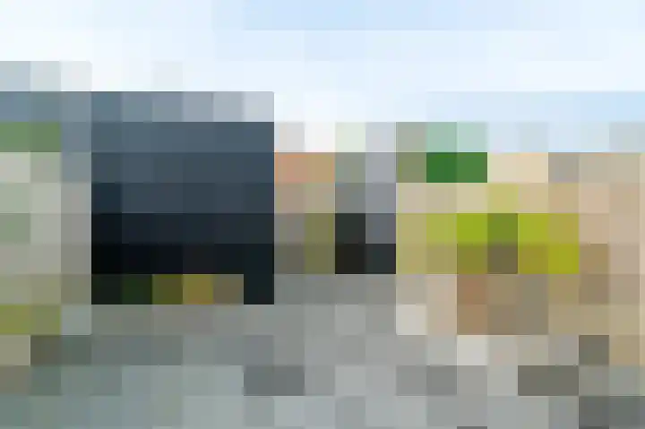 Krokus 12 Voorhout thumbnail 34