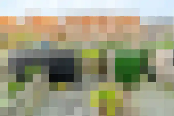 Krokus 12 Voorhout thumbnail 39