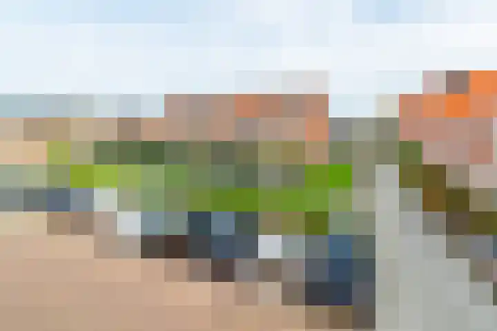 Krokus 12 Voorhout thumbnail 40