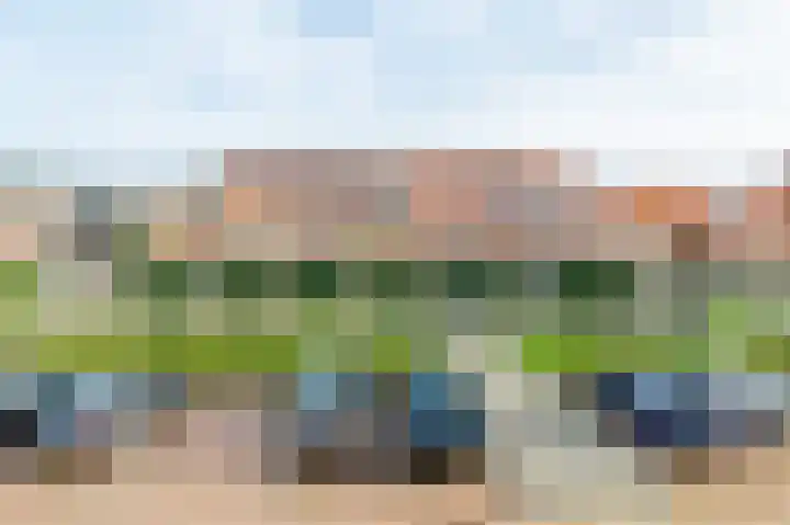 Krokus 12 Voorhout thumbnail 41