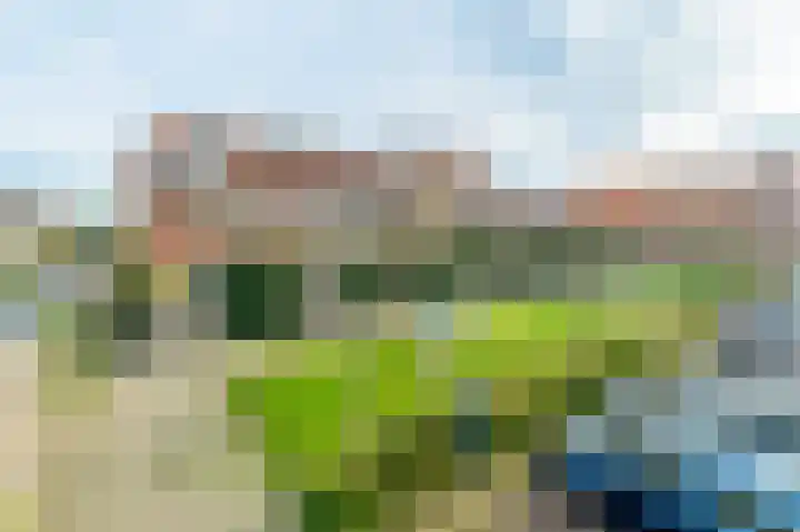 Krokus 12 Voorhout thumbnail 42