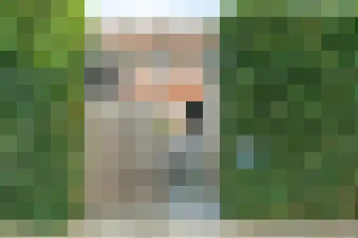 Krokus 12 Voorhout thumbnail 5