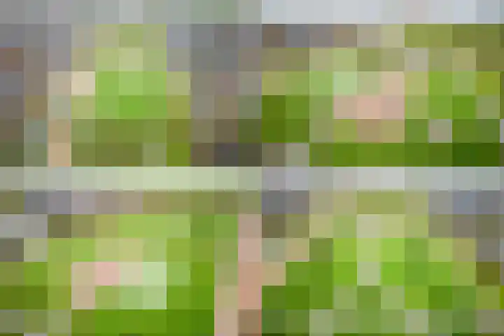 Krokus 12 Voorhout thumbnail 50