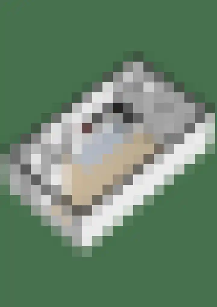 Krokus 12 Voorhout thumbnail 56