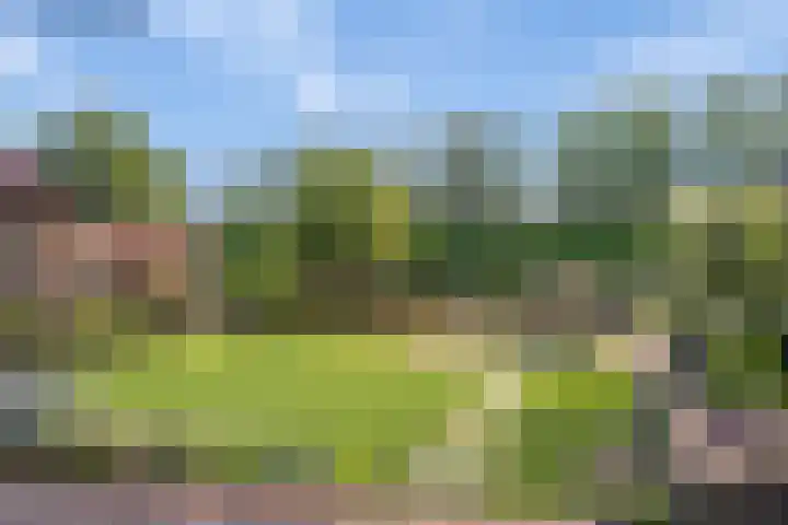 Krokus 24 Andijk thumbnail 18