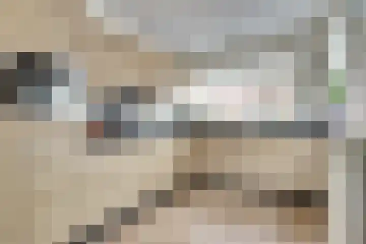 Krokus 24 Andijk thumbnail 5