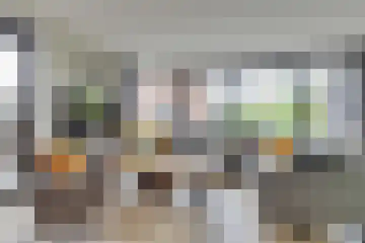 Krokus 30 Andijk thumbnail 12