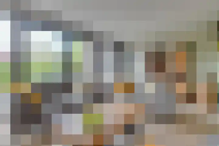 Krokus 30 Andijk thumbnail 14