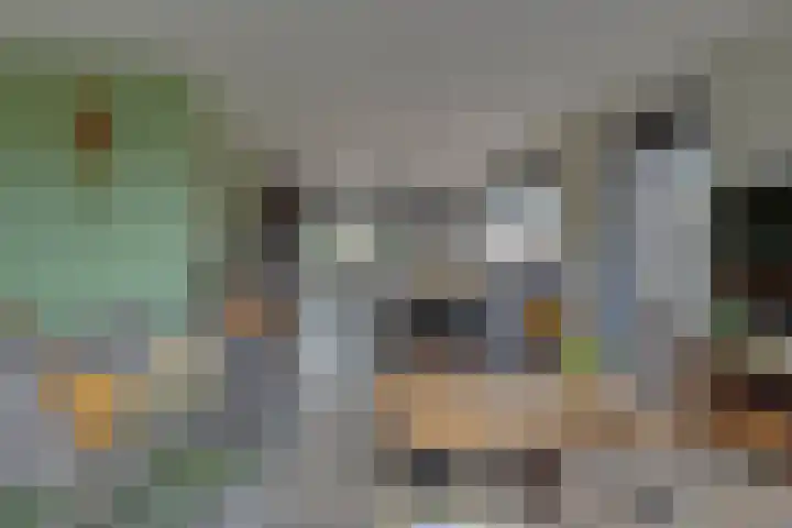Krokus 30 Andijk thumbnail 15