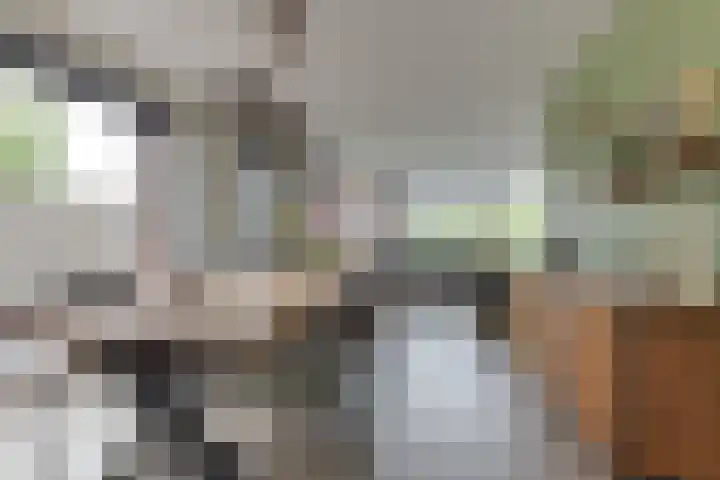 Krokus 30 Andijk thumbnail 16