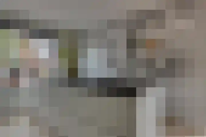 Krokus 30 Andijk thumbnail 18