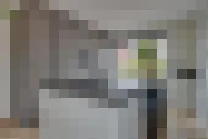 Krokus 30 Andijk thumbnail 19