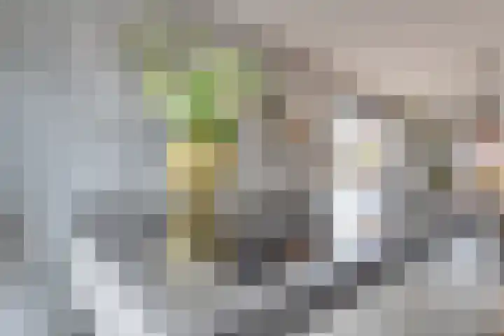 Krokus 30 Andijk thumbnail 20