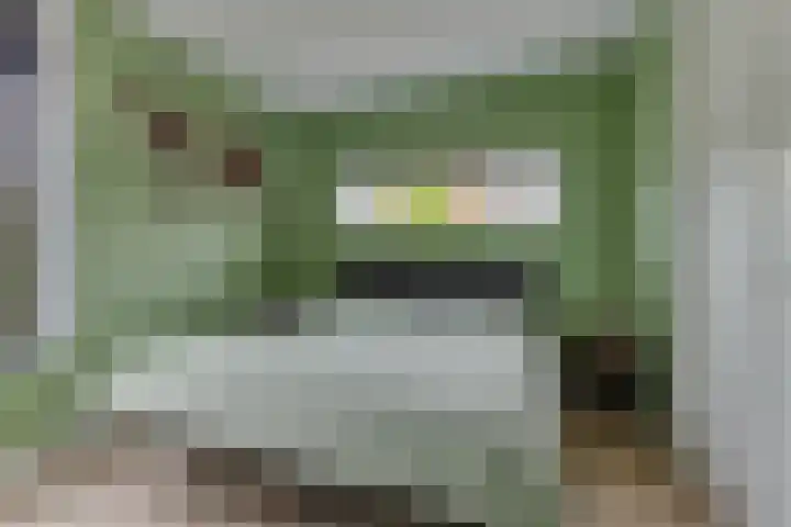 Krokus 30 Andijk thumbnail 22