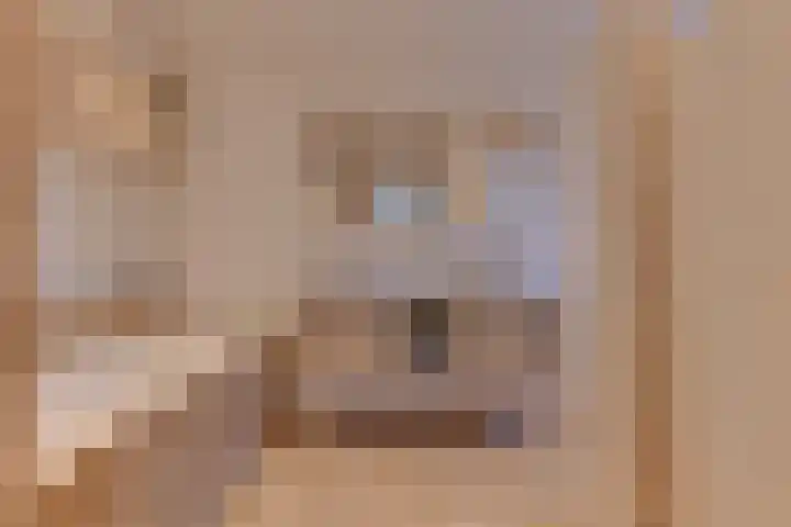 Krokus 30 Andijk thumbnail 25