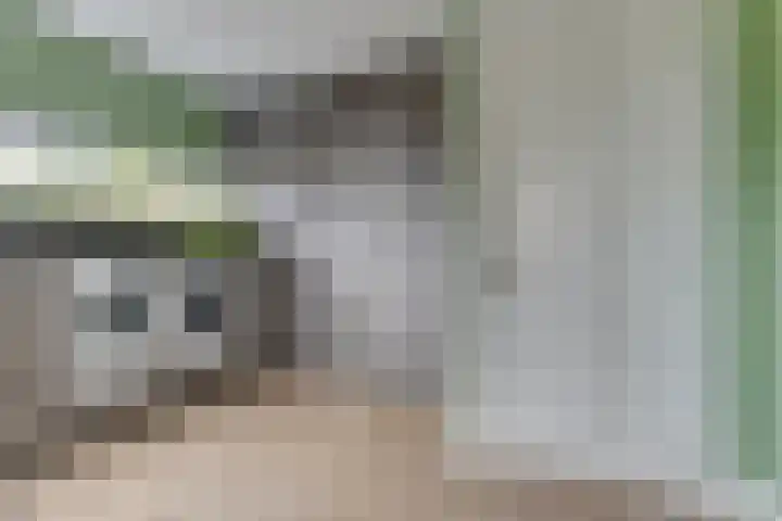 Krokus 30 Andijk thumbnail 31
