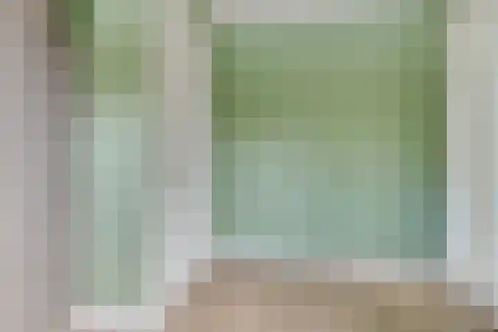 Krokus 30 Andijk thumbnail 32
