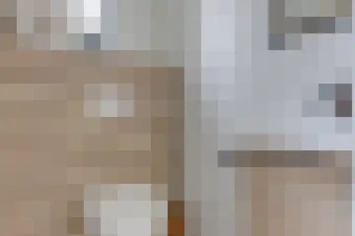 Krokus 30 Andijk thumbnail 33