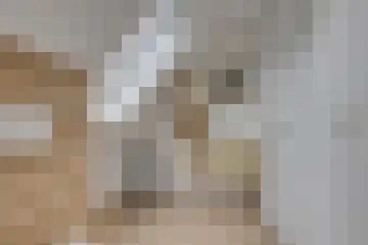 Krokus 30 Andijk thumbnail 41