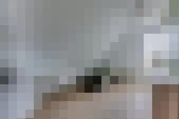 Krokus 30 Andijk thumbnail 45