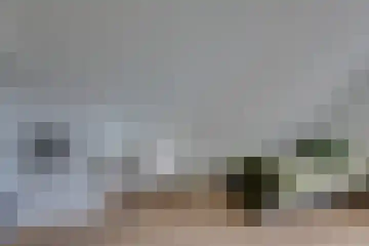 Krokus 30 Andijk thumbnail 46