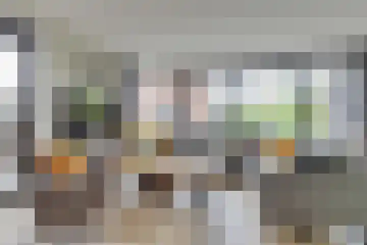 Krokus 30 Andijk thumbnail 5