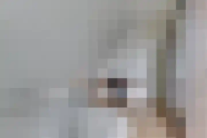 Krokus 30 Andijk thumbnail 50