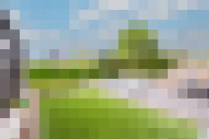 Krokus 30 Andijk thumbnail 54