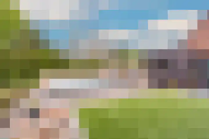 Krokus 30 Andijk thumbnail 57