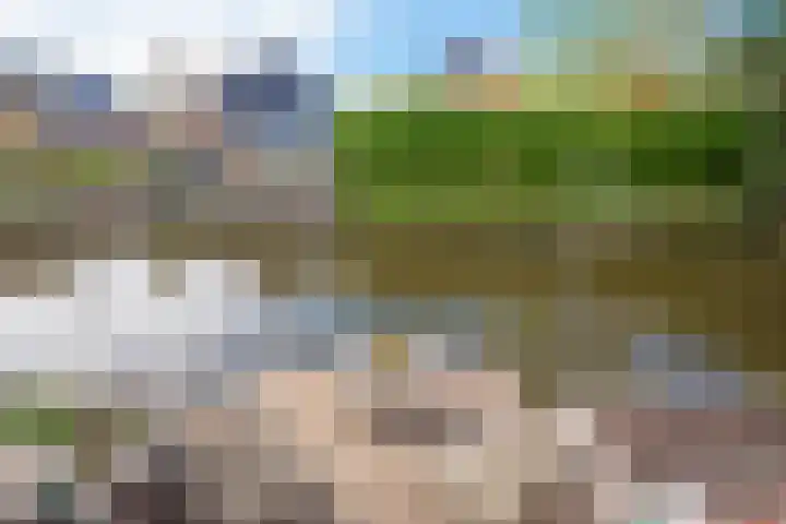 Krokus 30 Andijk thumbnail 58