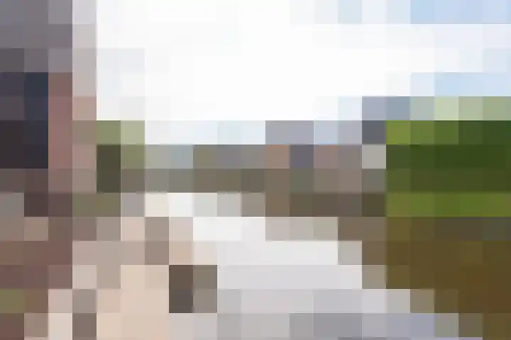 Krokus 30 Andijk thumbnail 59