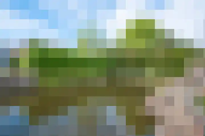 Krokus 30 Andijk thumbnail 60