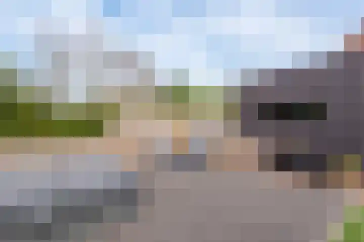 Krokus 30 Andijk thumbnail 61