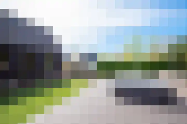Krokus 30 Andijk thumbnail 62