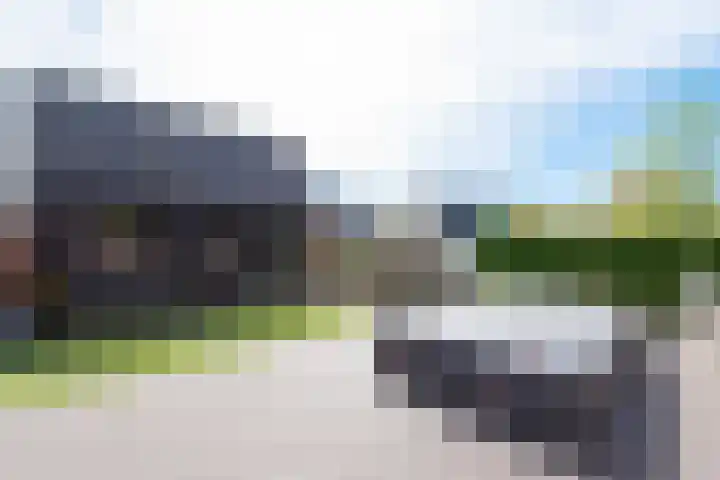 Krokus 30 Andijk thumbnail 63