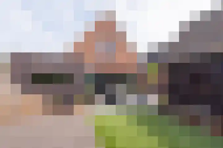 Krokus 30 Andijk thumbnail 64