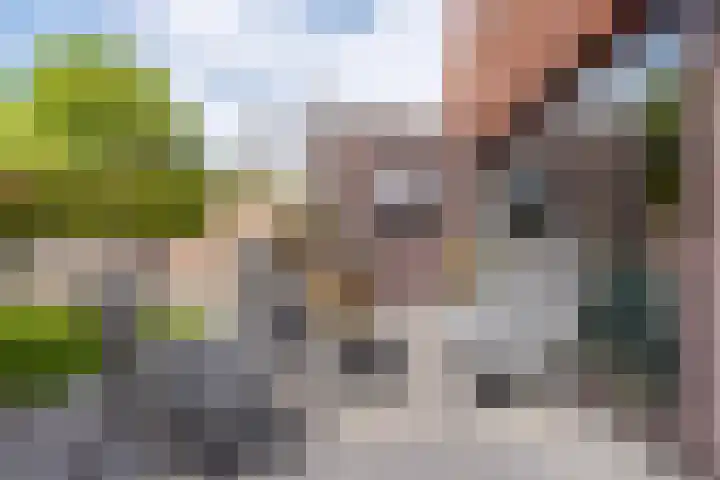 Krokus 30 Andijk thumbnail 67