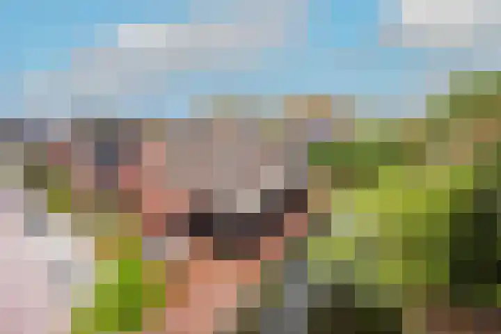 Krokus 30 Andijk thumbnail 68
