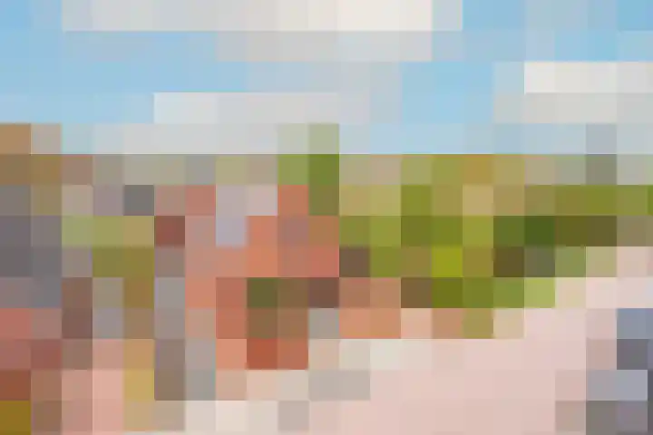 Krokus 30 Andijk thumbnail 69