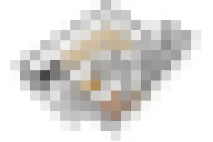 Krokus 30 Andijk thumbnail 74