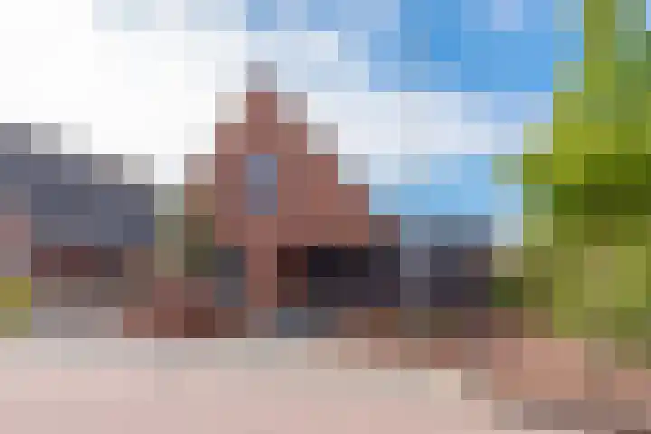 Krokus 30 Andijk thumbnail 8